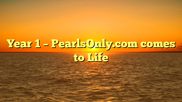 Year 1 – PearlsOnly.com comes to Life