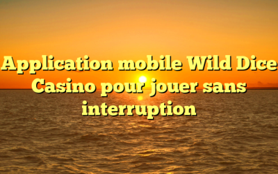 Application mobile Wild Dice Casino pour jouer sans interruption