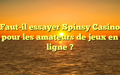 Faut-il essayer Spinsy Casino pour les amateurs de jeux en ligne ?