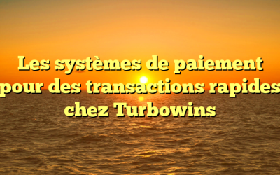 Les systèmes de paiement pour des transactions rapides chez Turbowins