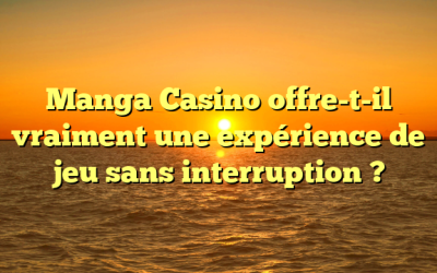 Manga Casino offre-t-il vraiment une expérience de jeu sans interruption ?