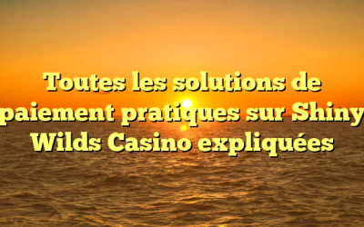 Toutes les solutions de paiement pratiques sur Shiny Wilds Casino expliquées