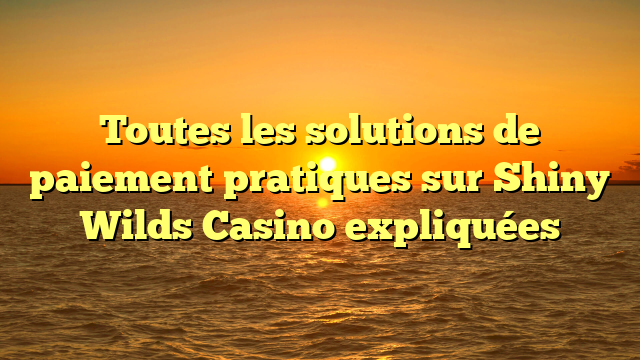 Toutes les solutions de paiement pratiques sur Shiny Wilds Casino expliquées